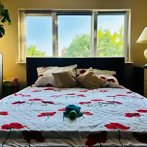 Mieszkanie Na Apartament